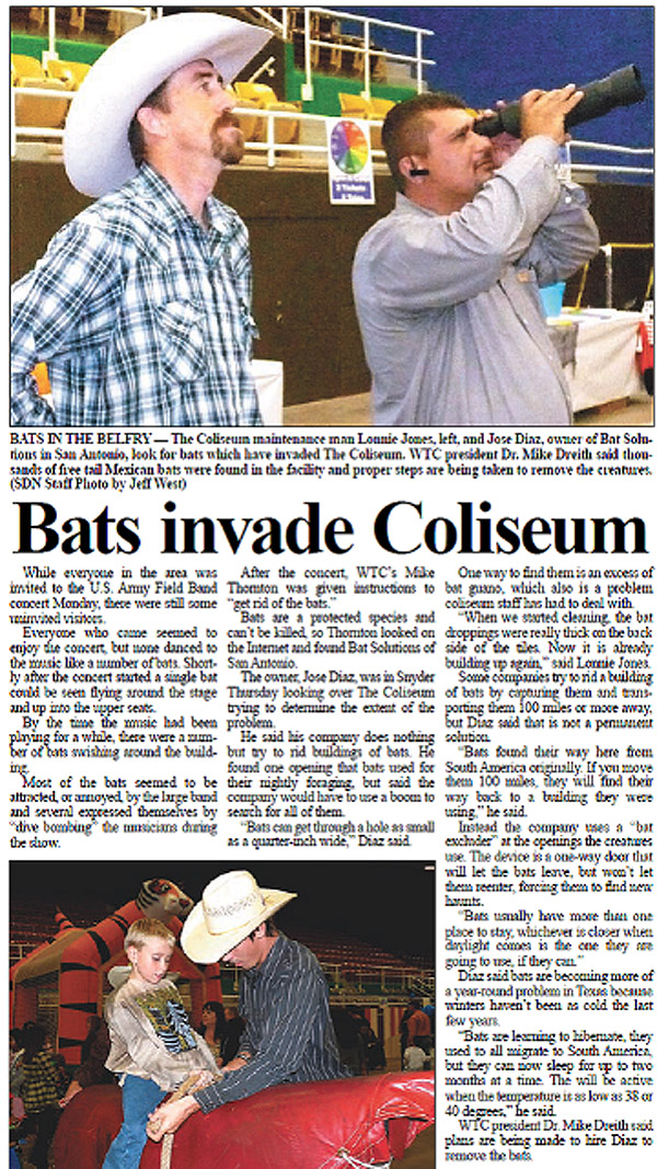 Bats Invade Coliseum