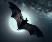 How Long Do Bats Stay in One Place?