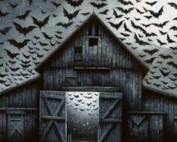 How To Get Rid Of Bats In Your Barn